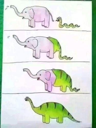 FB_IMG_1628428210403