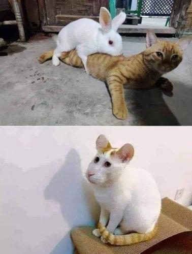 04:58:42 GMT-0500 (CDT)