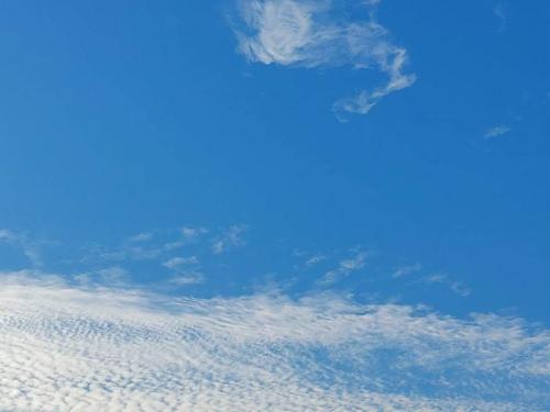 received_539086150668212