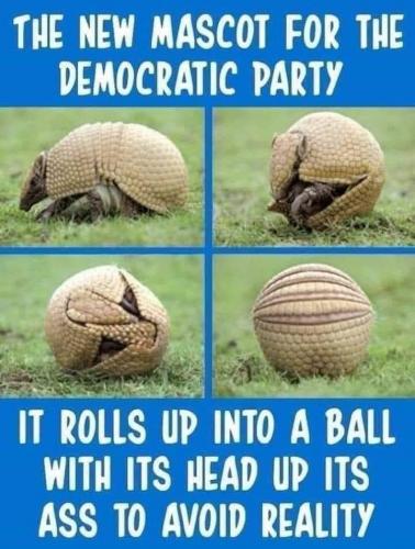 the dem party