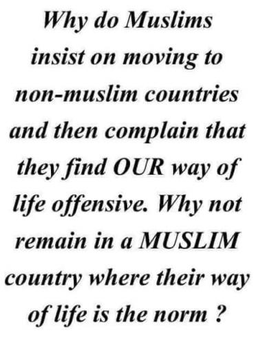 FB_IMG_1628533865156