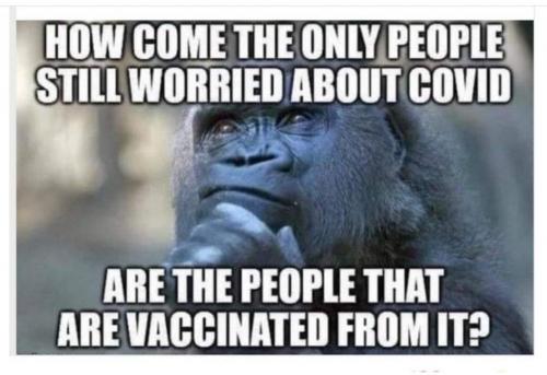 FB_IMG_1629632340906