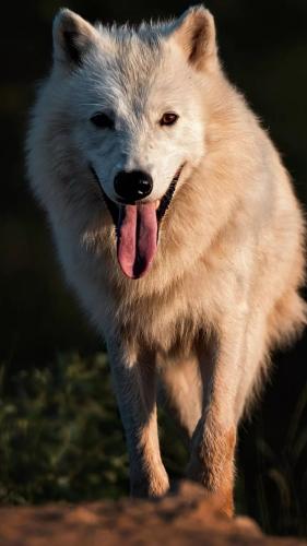 20:47:15 GMT-0500 (CDT)