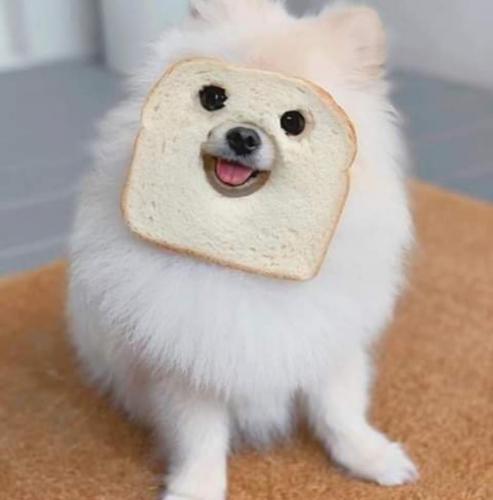 08:03:19 GMT-0500 (CDT)