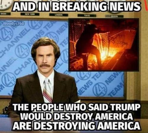 e91c64fb-330e-4b55-b7ff-b3919078c086