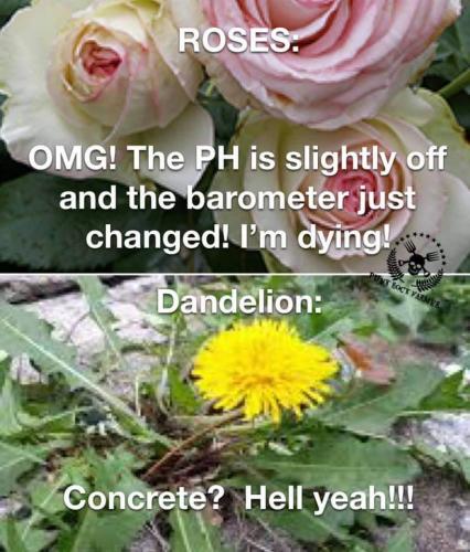 FB_IMG_1628489538843