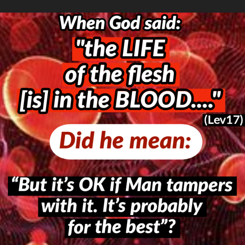 14:20:13 GMT-0400 (EDT)