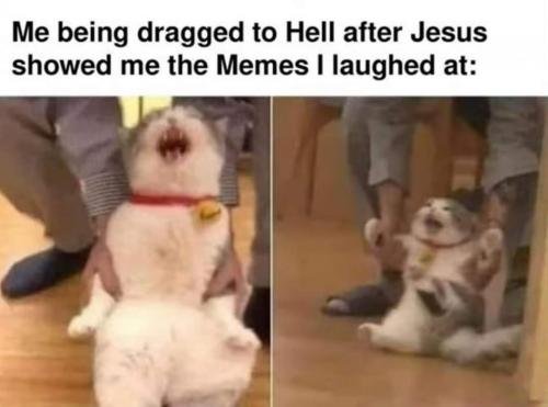 FB_IMG_1629078638040