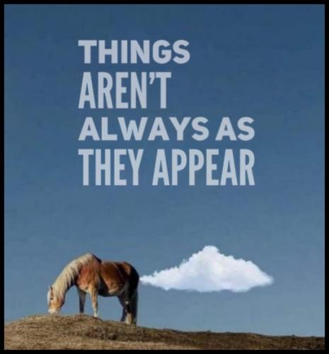 tumblr_5f7e158f63a8194025fb1fca43611003_91c6d37d_540