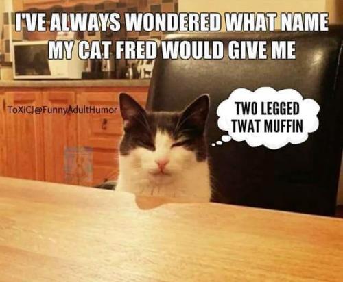 01:09:51 GMT-0500 (CDT)