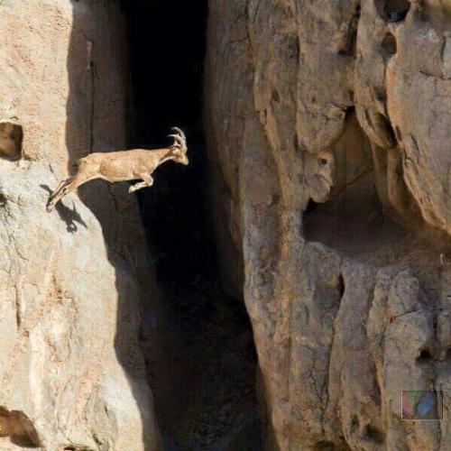 FB_IMG_1628141161763