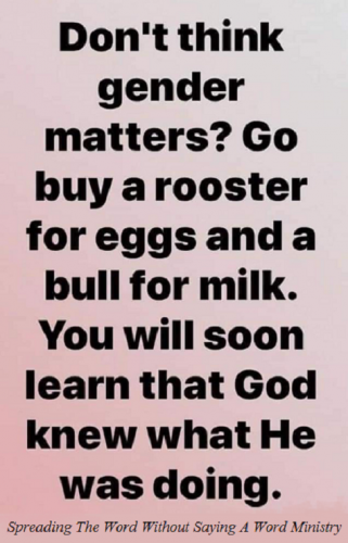 188663284_823503321922237_5122402193903640930_n