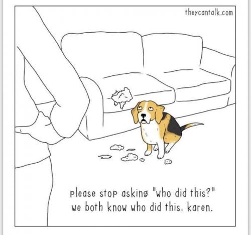 FB_IMG_1628888814491