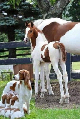 222384032_2828772324053557_8045319173228847420_n