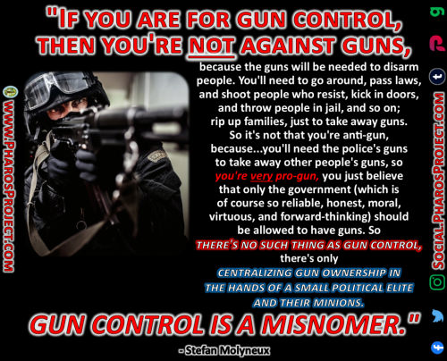 Stefan Molyneux - Gun Control - Web-Social