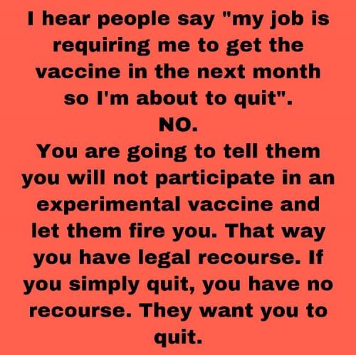 FB_IMG_1628122202772