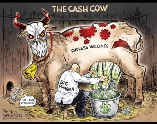 FB_IMG_1630056445032