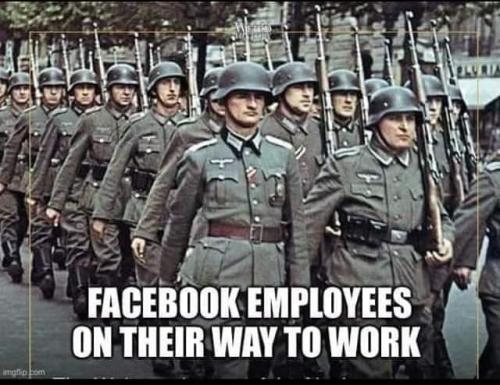 fb employees