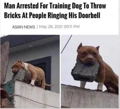 IMG_20210822_162811_962