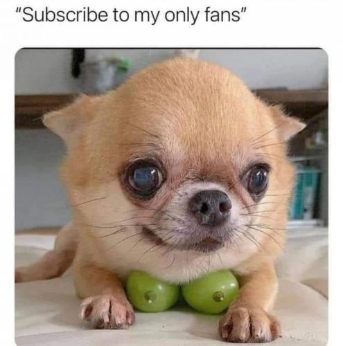 23:37:34 GMT-0400 (EDT)