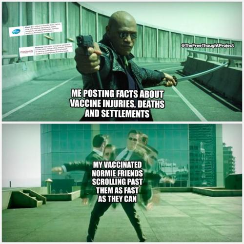 240108461_2610417695932095_6904140428563266398_n