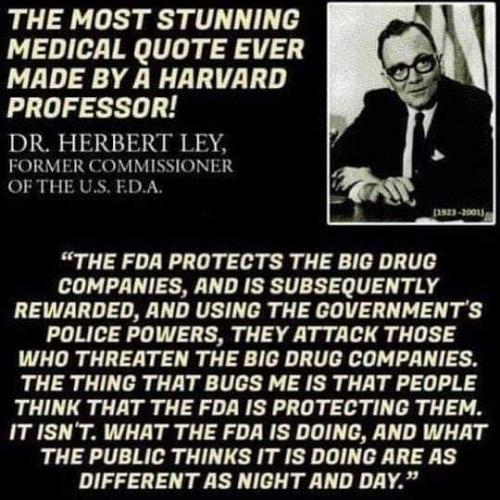 240756202_10159667618751214_4512288432781310026_n