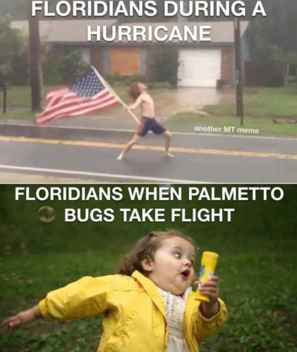 14:54:24 GMT-0400 (EDT)