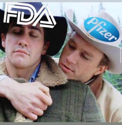 photo_2021-08-27_21-51-00