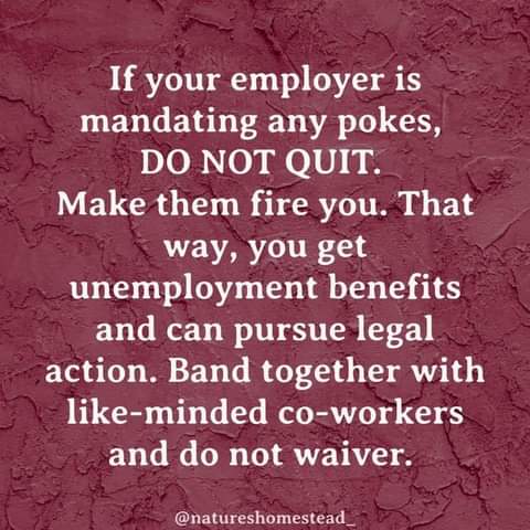 FB_IMG_1628123862773