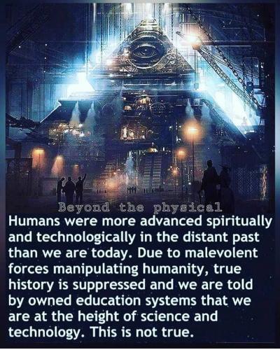 humans