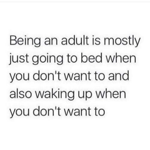 220568205_10159507625601655_3763406406130727670_n