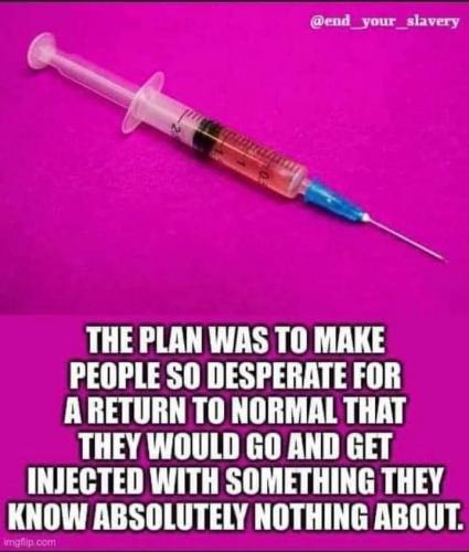 FB_IMG_1628197564949