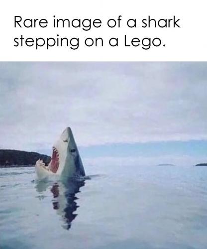 FB_IMG_1629327766334