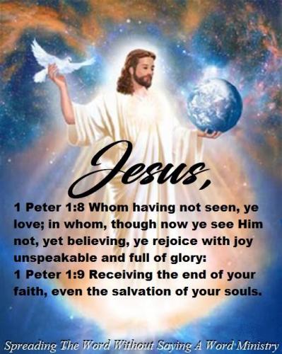 21032353_1508563129225813_6172524538598502354_n