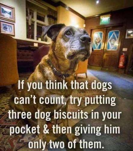 20:12:25 GMT-0400 (EDT)