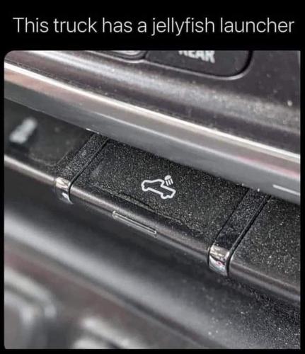 FB_IMG_1628911508480