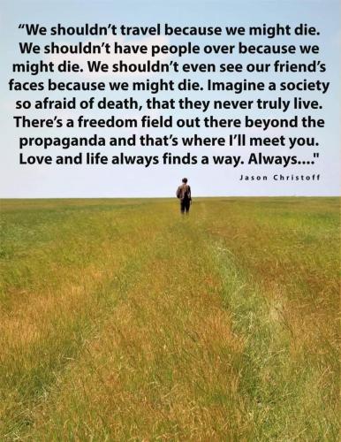 08:20:29 GMT+1000 (AEST).image