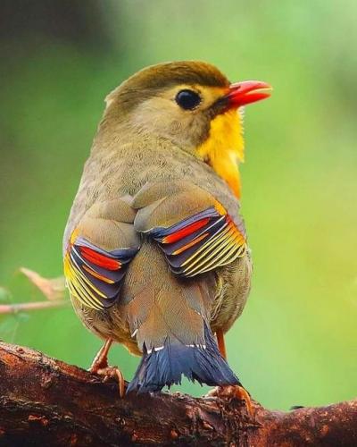 232673588_385939272909752_4303249086667305820_n