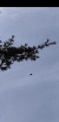 20:15:33 GMT-0400 (EDT)