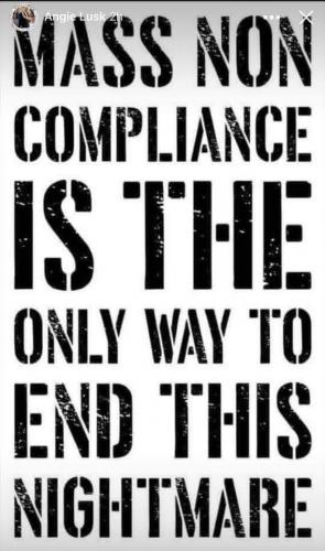 FB_IMG_1628391045176