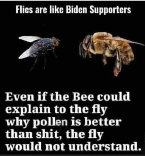 86BA71EE-493C-460A-8B1E-61D21E008BA9