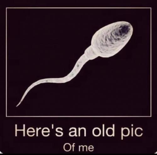 Screenshot_20210814-173026_Gallery