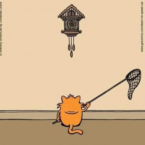 FB_IMG_1629089565252