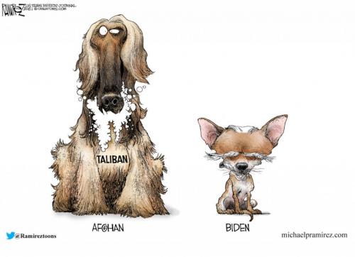 14:58:41 GMT-0500 (CDT).image