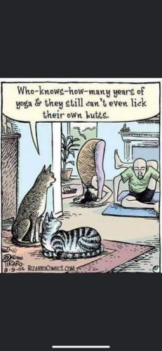 17:51:26 GMT-0700 (PDT)