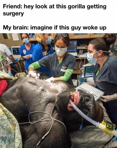 _()_01