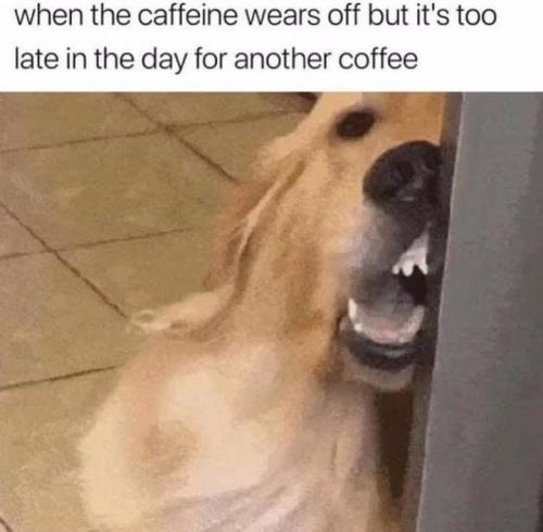 237661177_3940192079425698_11362727692813806_n