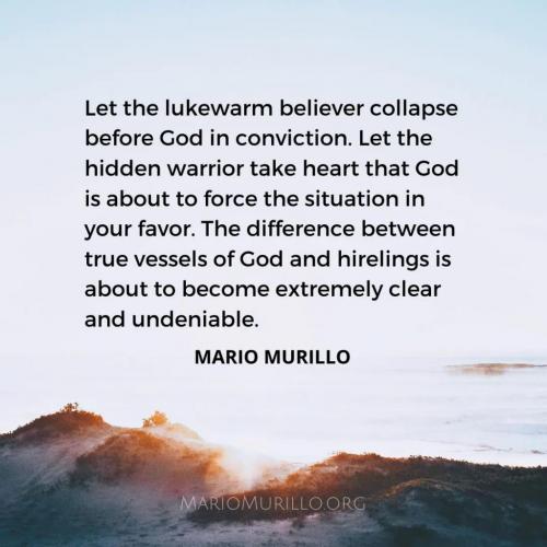 FB_IMG_1628606353249