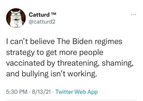 236298677_3124351684449392_5821423168689212956_n