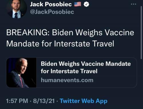 231147216_1999431273546882_2426259066372498635_n